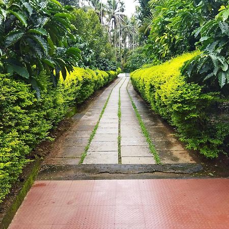 Wayanad Green Park Resort Ambalavayal Quarto foto