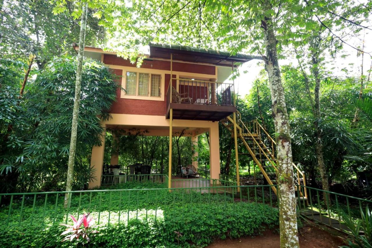 Wayanad Green Park Resort Ambalavayal Exterior foto