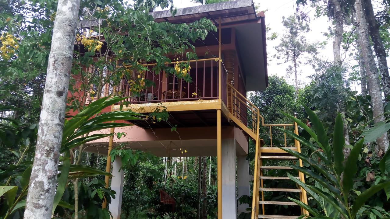 Wayanad Green Park Resort Ambalavayal Exterior foto